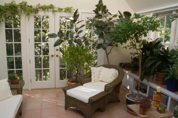 家里不同的房间种上适宜的植物 室内再也没有污浊的空气 小九 Garden Manage Gfinger Is The Best Garden Manage App