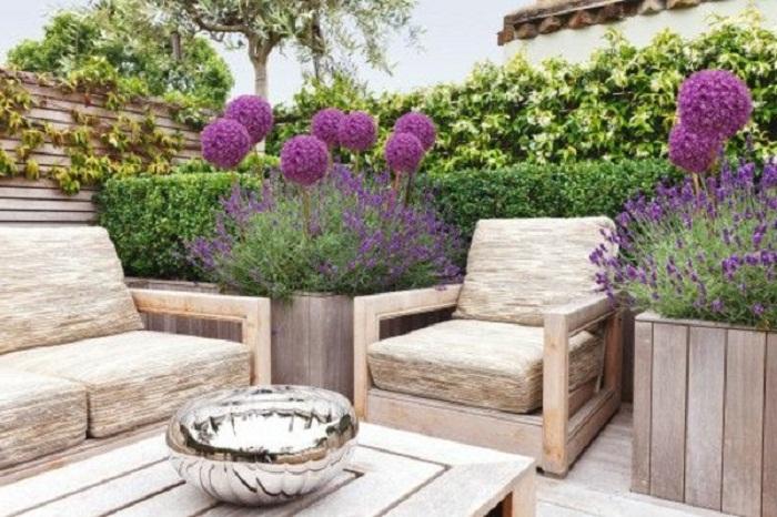 21 Beautiful Terrace Garden Images You, How To Make A Small Terrace Garden