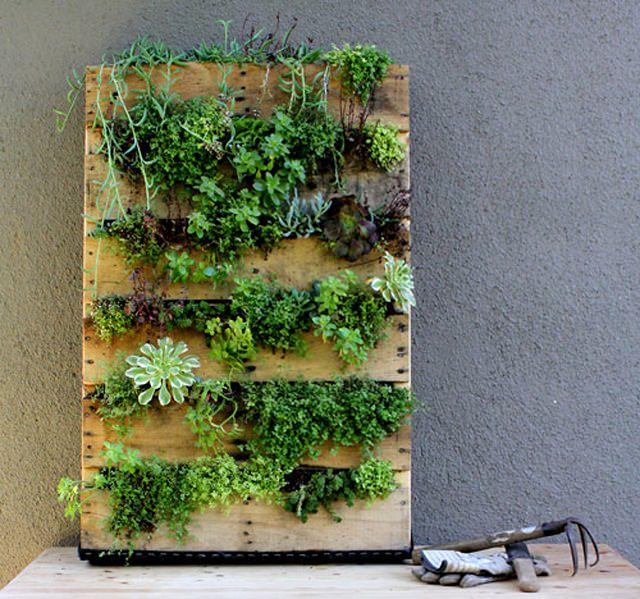 15 Brilliant Diy Vertical Indoor Garden Ideas To Help You Create More Space For Growing Plants 扭扭 綠手指 養花技巧 花生病了怎麼辦 花園打理和設計 - Diy Indoor Gardening Ideas