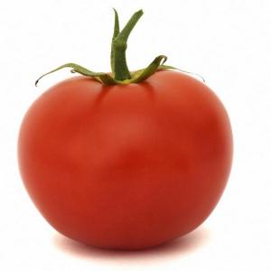 El cultivo ecológico del tomate en macetas