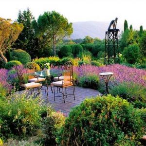 想要一个这样的小院，坐在里面，看着花，喝着茶，想想就美☺️
