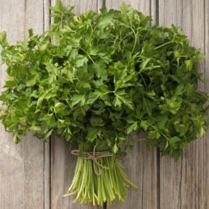 Parsley Harvesting: Learn How And When To Pick Parsley Herbs