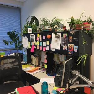Office plants! Early October