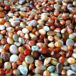 Everything You Need to Know About Using Pebbles in the Garden