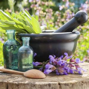 Healing Herb Plants – Tips On Growing A Medicinal Herb Garden