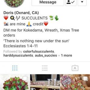 Also on your way to Instagram go follow fortheloveofsucculents 
She has helped me find the names of many of my plants with her beautiful succulent pictures.🌵🌱🌸💚🌈