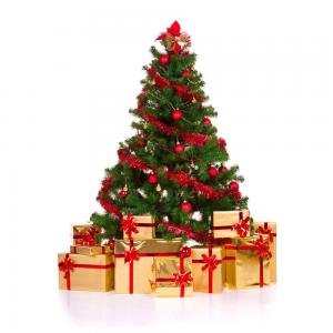 圣诞快乐！
聖誕快樂！
shèng dàn kuài lè
Merry Christmas.
Feliz navidad!!!!
Frohe Weihnachten!
Buon Natale!
Joyeux Noël.
С рождеством!
메 리 크리스마스!
クリスマスの楽しみ!