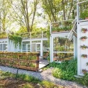 11 Most Essential Container Garden Design Tips | Designing a Container Garden