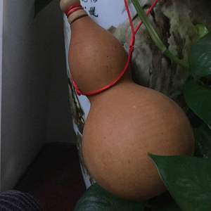 我新添加了一棵“葫芦”到我的“花园”