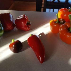 peppers from my plants